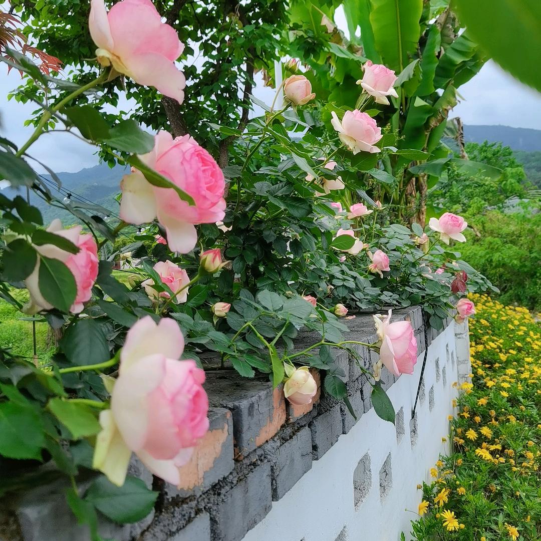 心如明镜