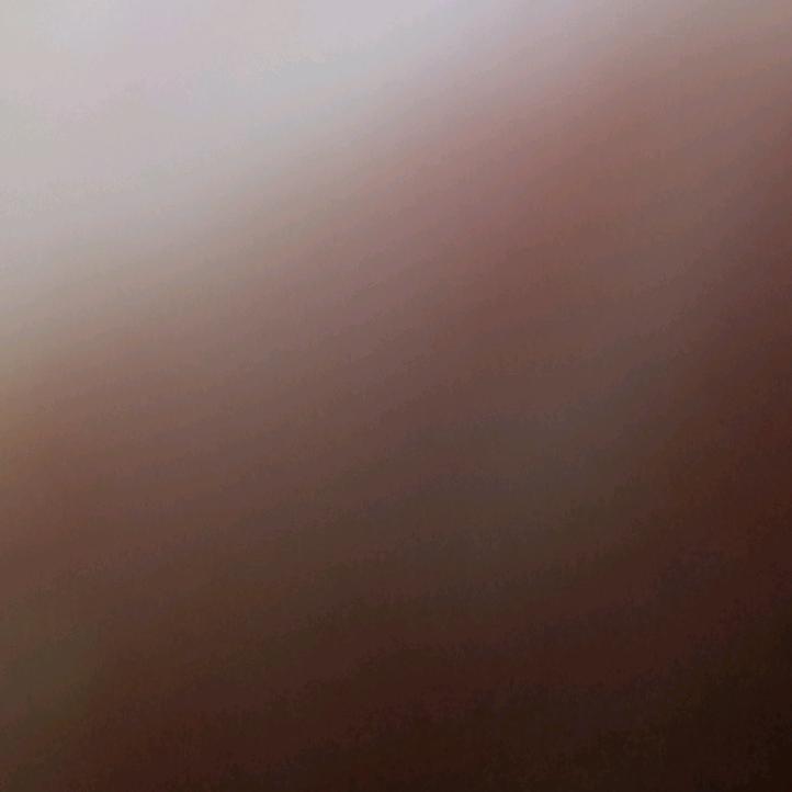 待明年春暖花开时