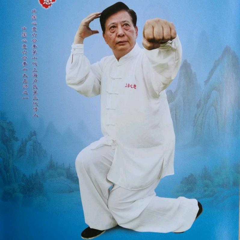 心意拳薛鸿恩（卢氏非遗代表性传承人）