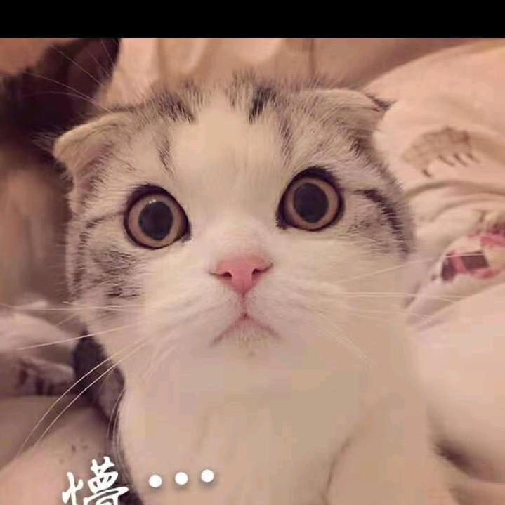 🌈运🌈