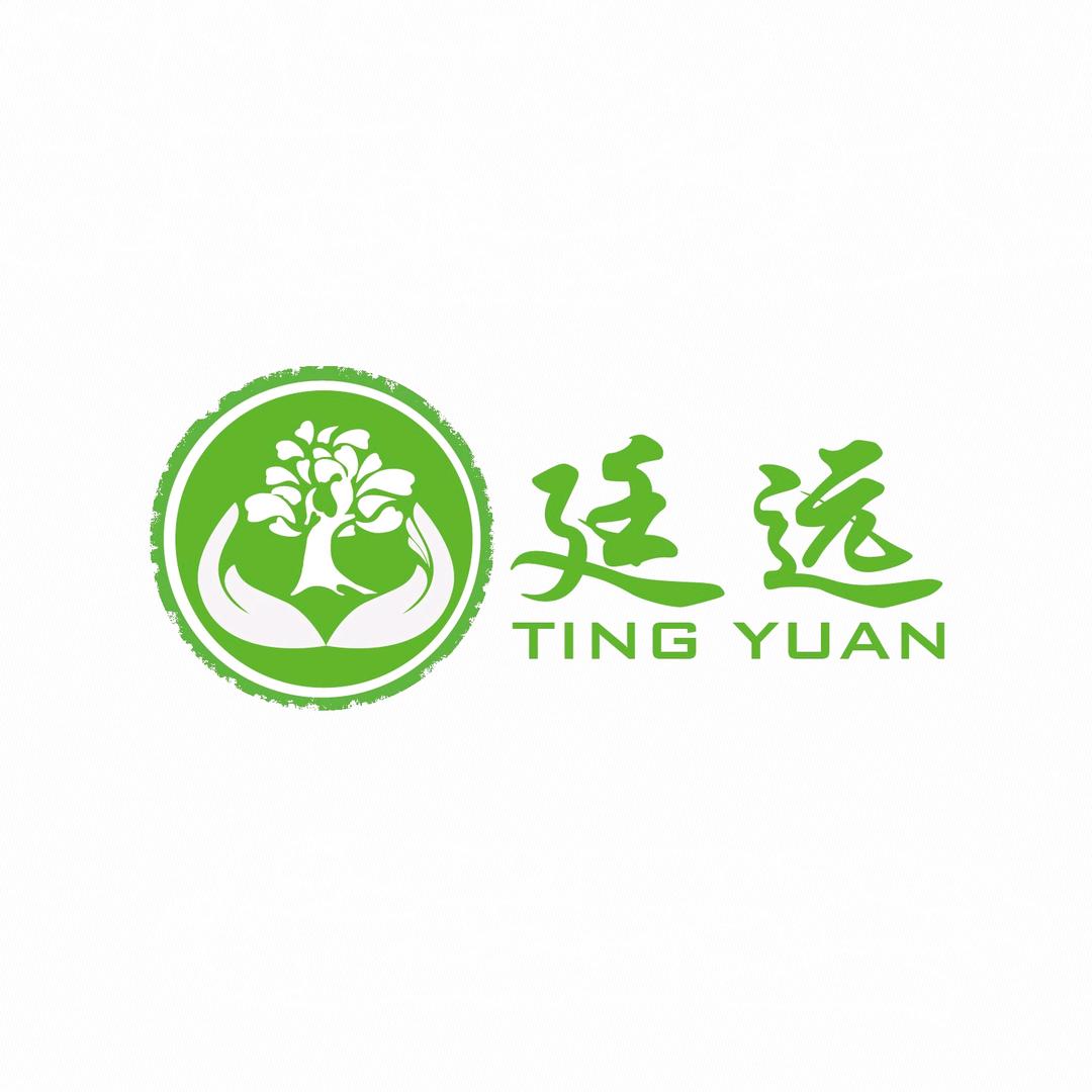 廷远活性炭