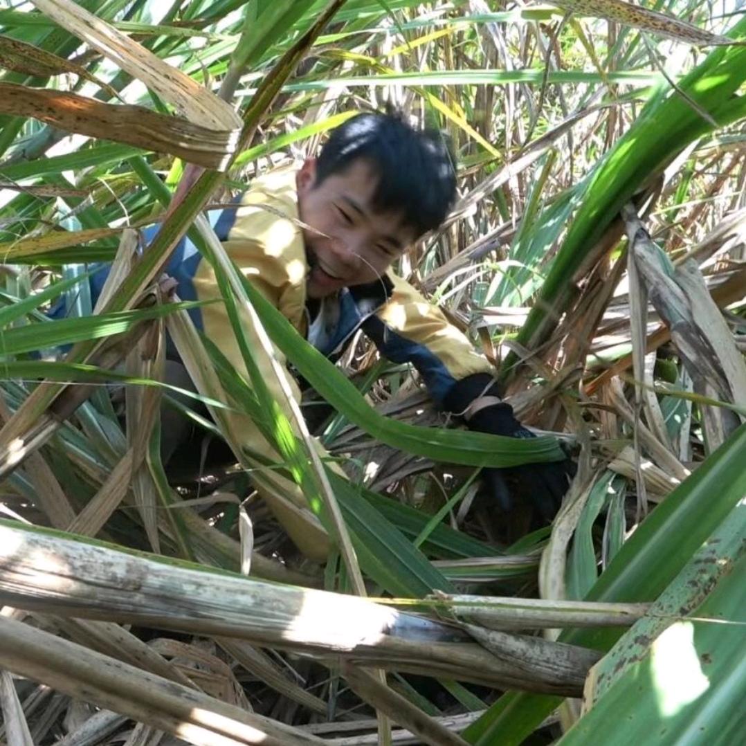 乡村军仔