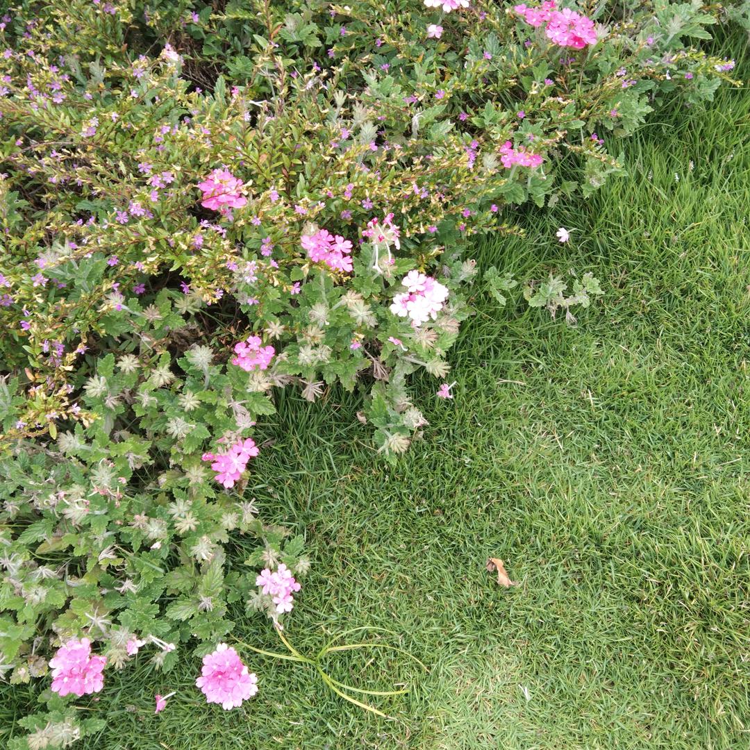 拒绝私聊，独一无二