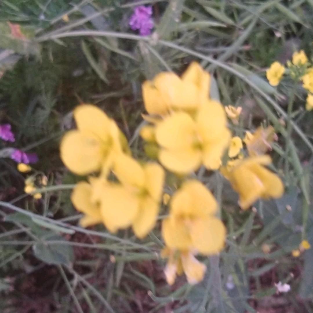 修成正果