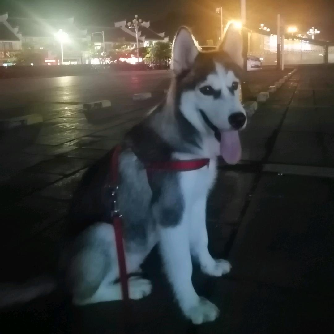 炜仔