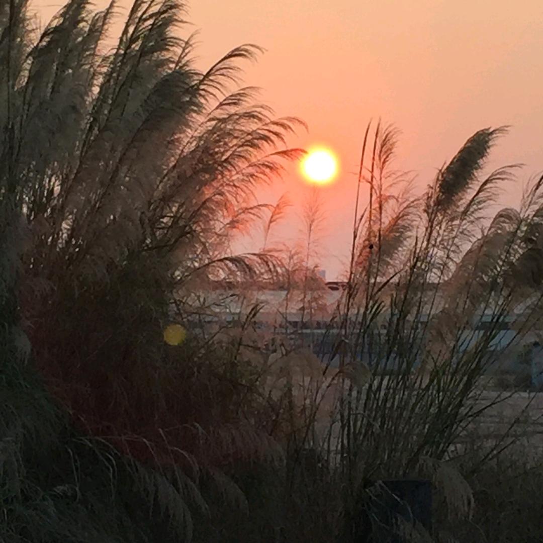 我还是原来的我