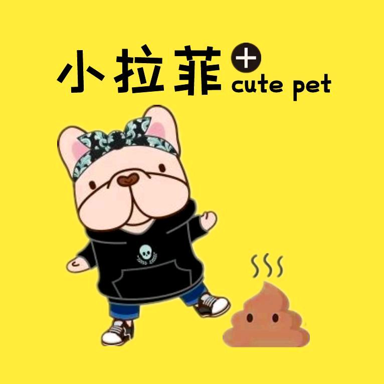 小拉菲爱生气