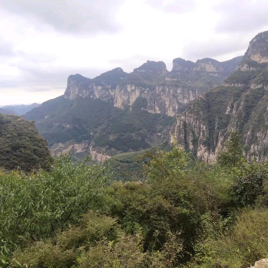 苏照英风格