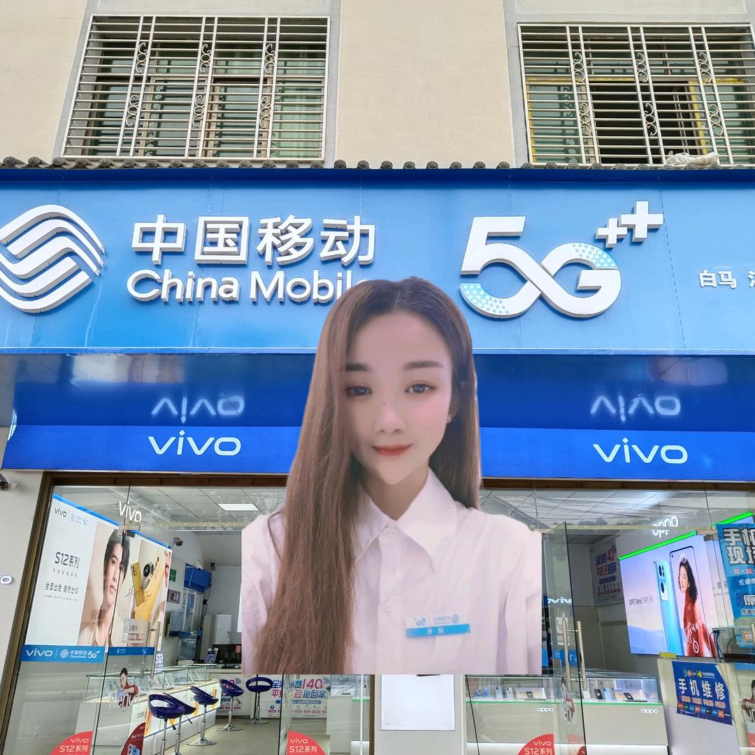 白马桥乡江胪手机店