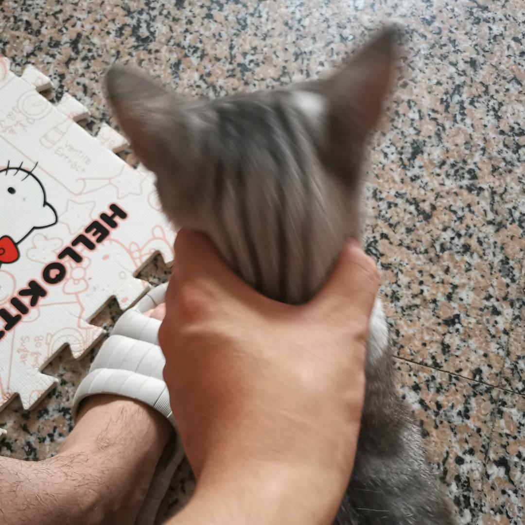 机械设计小站