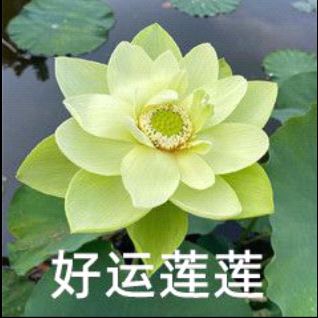 用户9435
