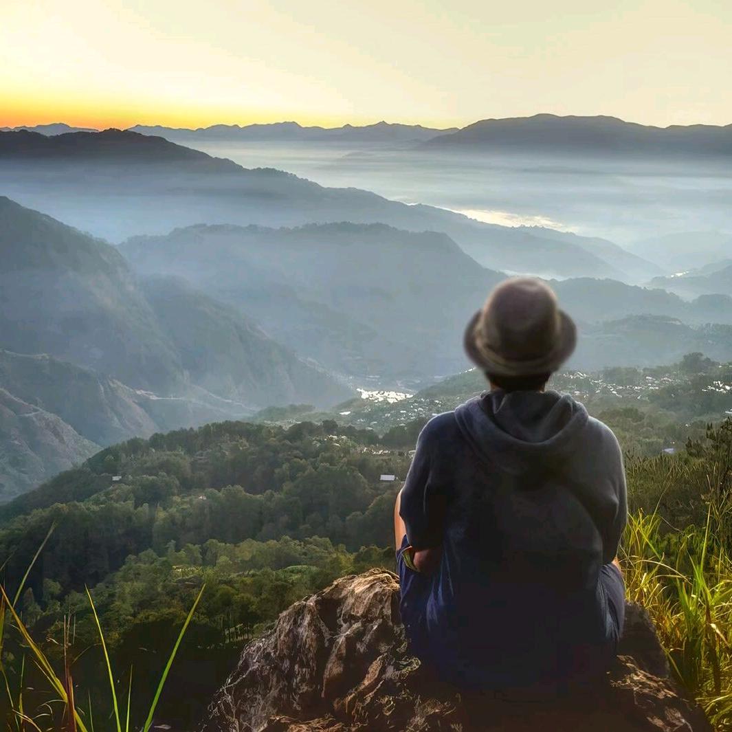 惜时有梦君曾笑