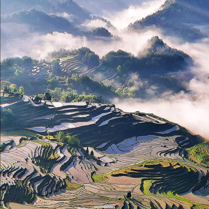 酉个片大大