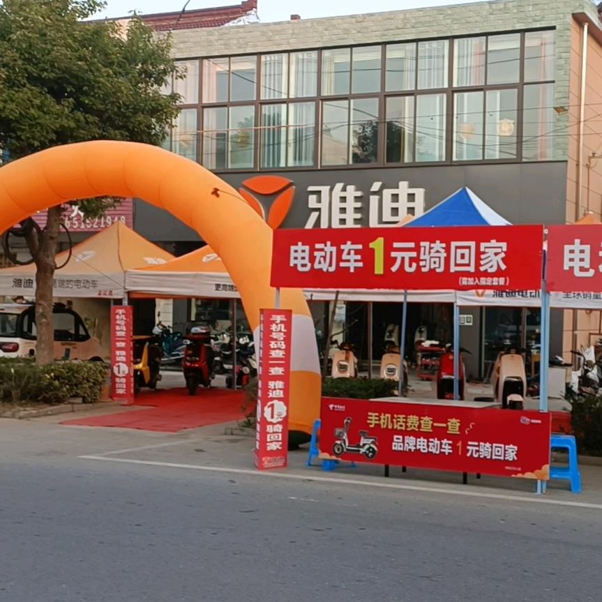 大仪雅迪电动车小高车业