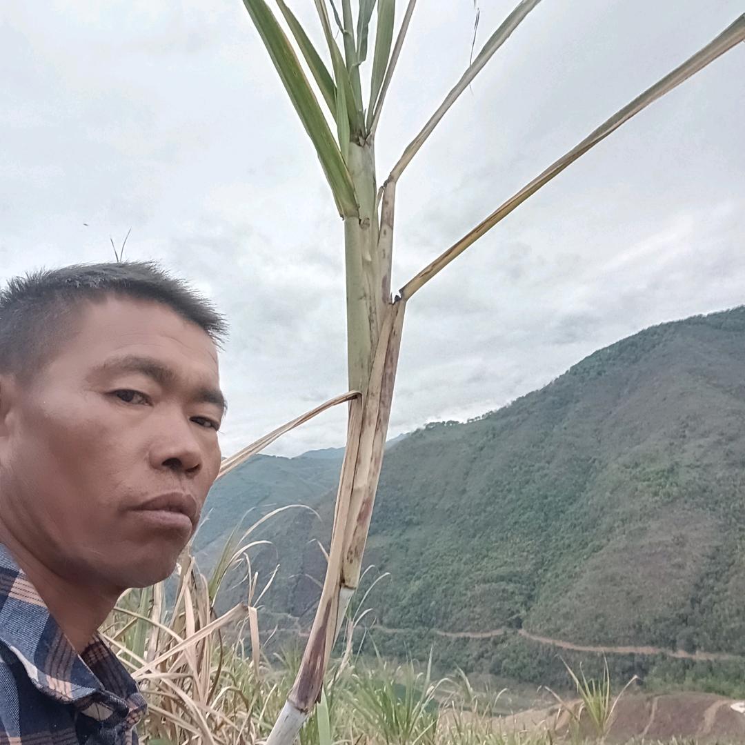 戒掉(◕ᴗ◕✿)往事