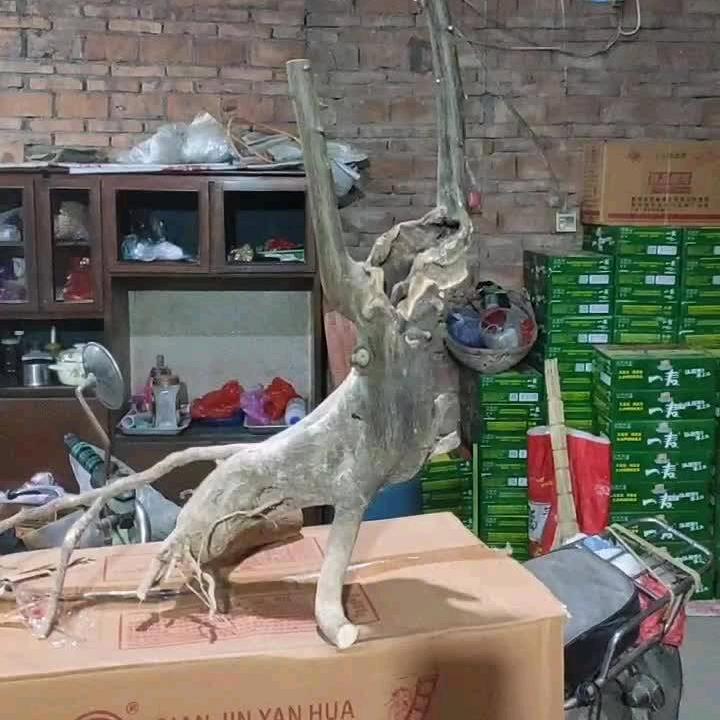 金豆^0^乐园