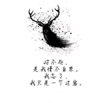 誓言是深爱时的谎言