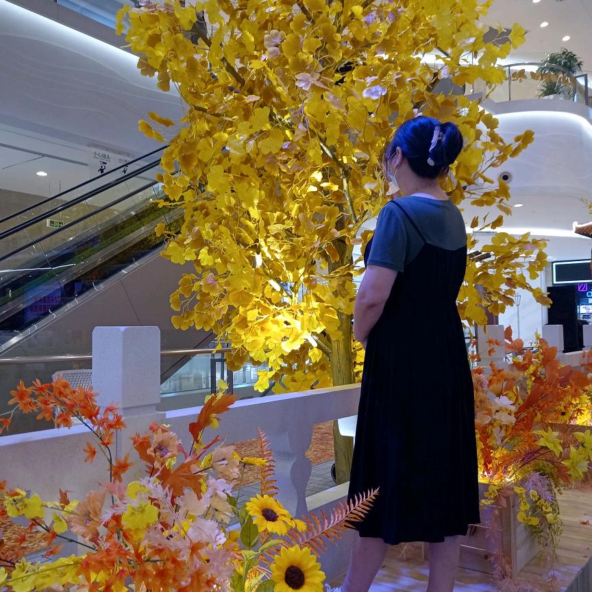 用户1886943233119花花