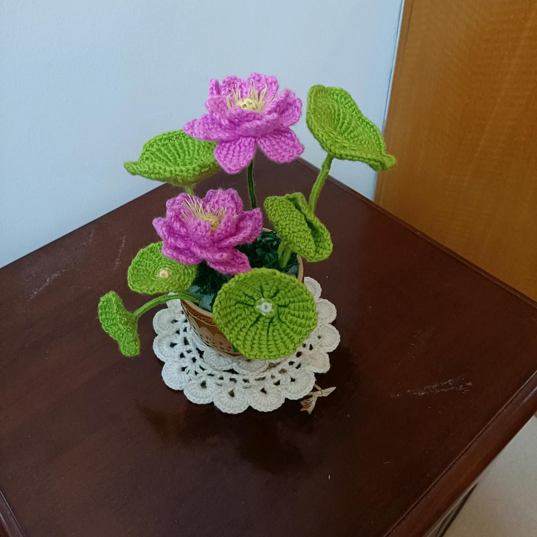 遇见小精灵