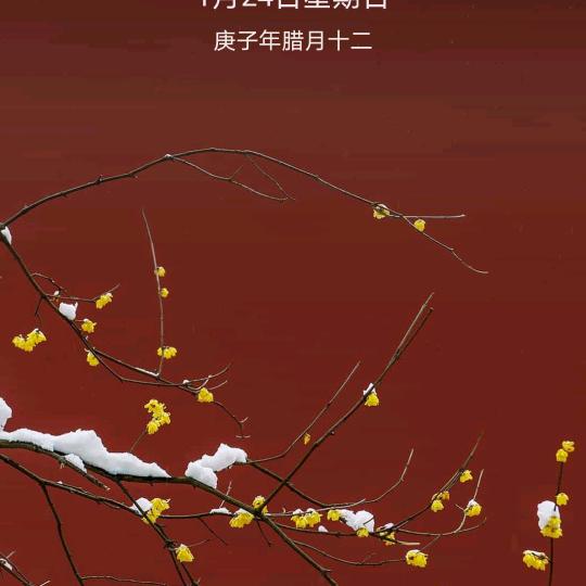 $@孤城$$^~独行客