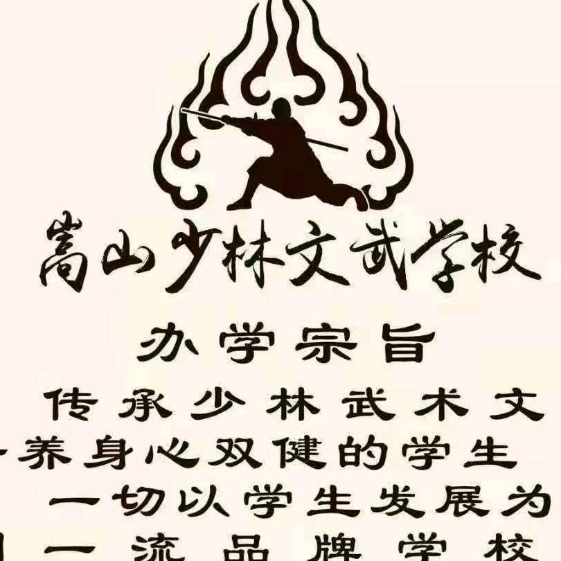 登封市嵩山少林文武学校【官方号】