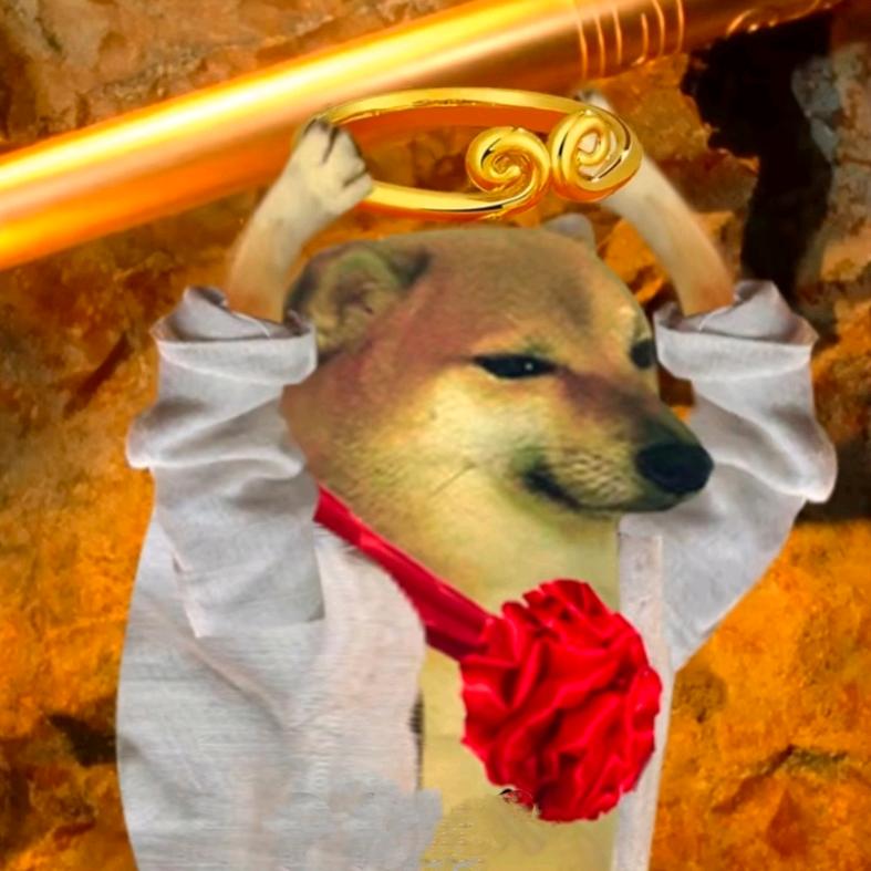 风中有苦涩的味道