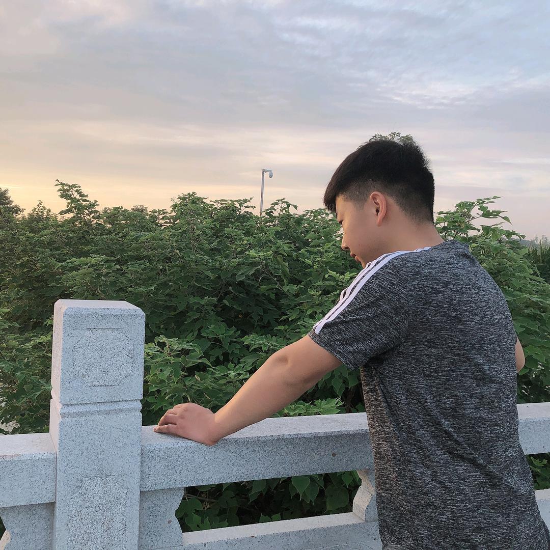 阜阳修卡车的 董奇