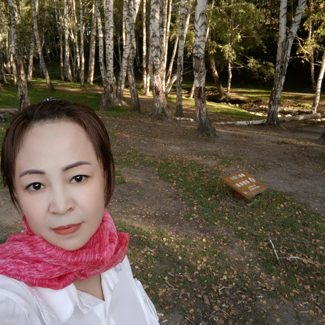 四季花鸟鱼