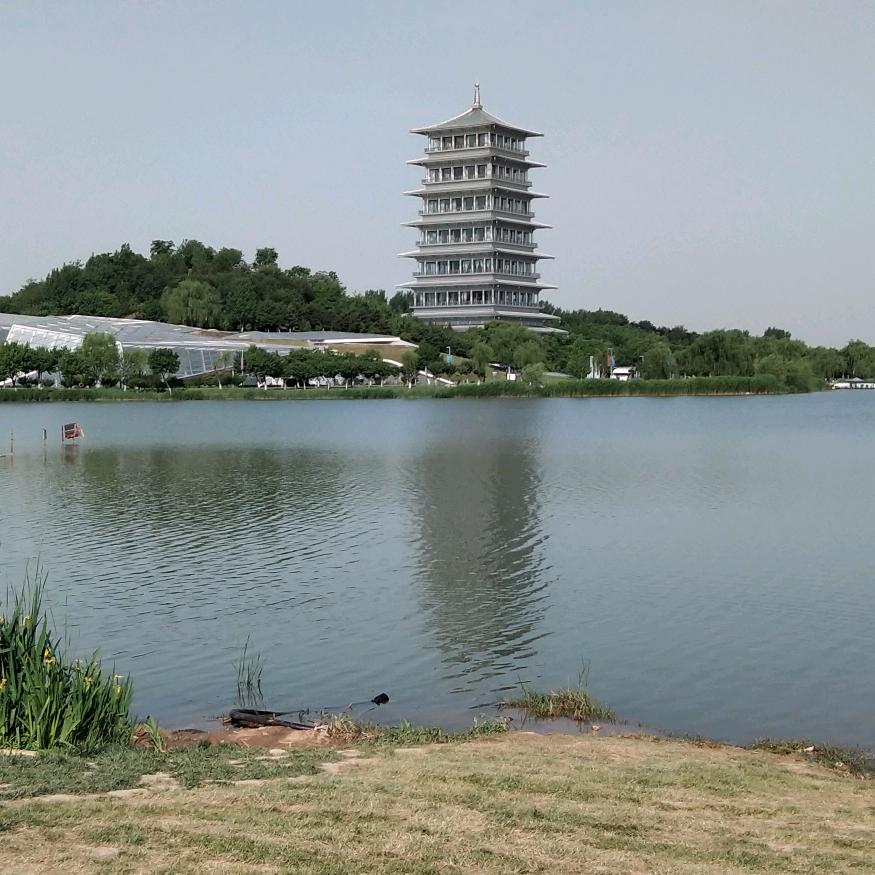 大漠雄鹰