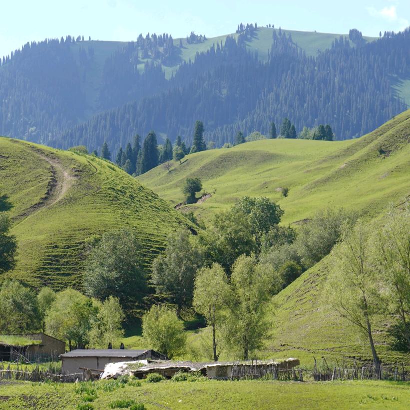 广滨快运刘学林