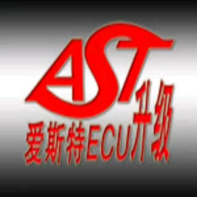 爱斯特汽车科技