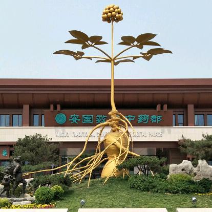 安国小玲