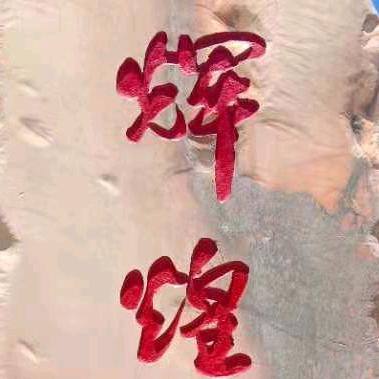 心向阳光