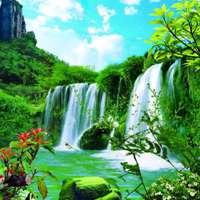 金怡·家政 家电清洗