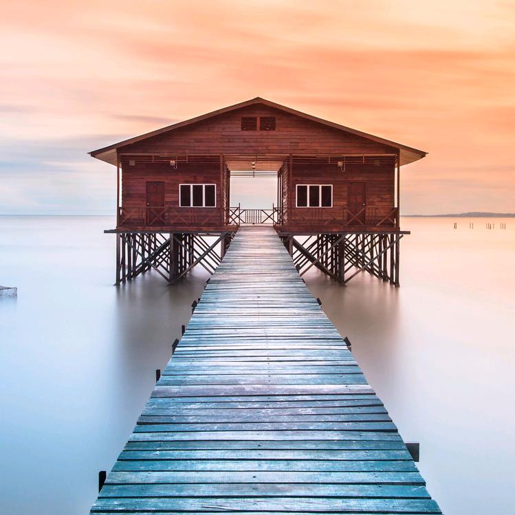 违规昵称WS56(不想努力版）