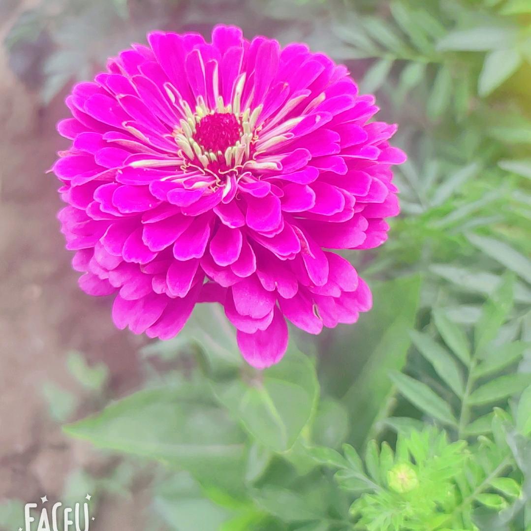 阳光明媚一1179003647