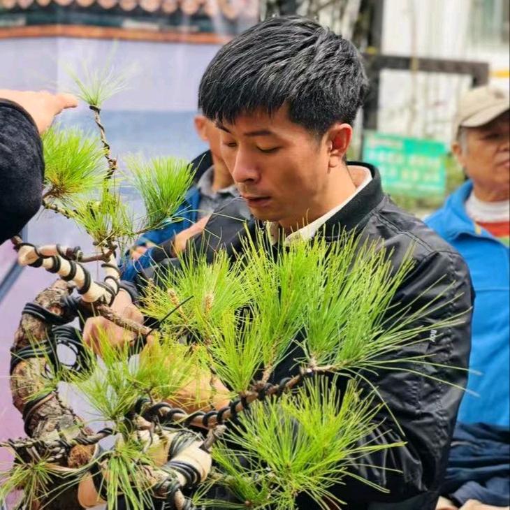枝言片语
