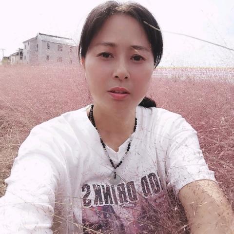 琴琴好物