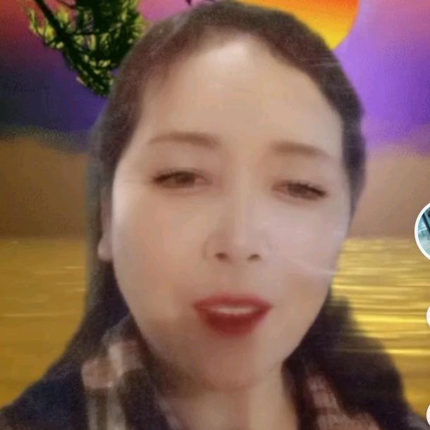 华丽丽