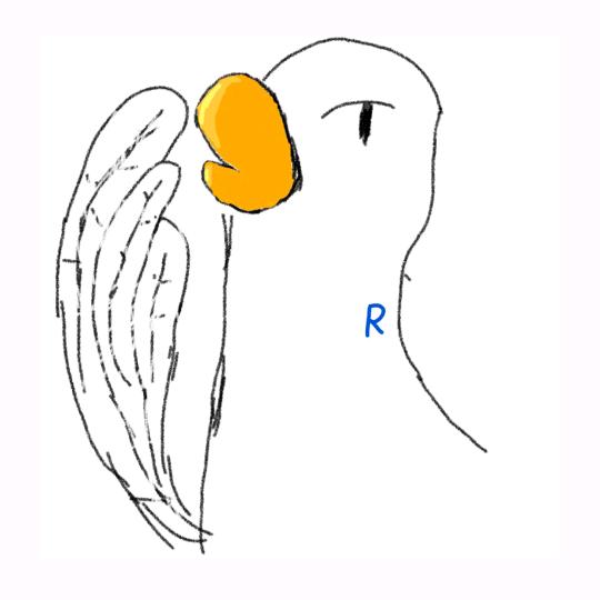 戒