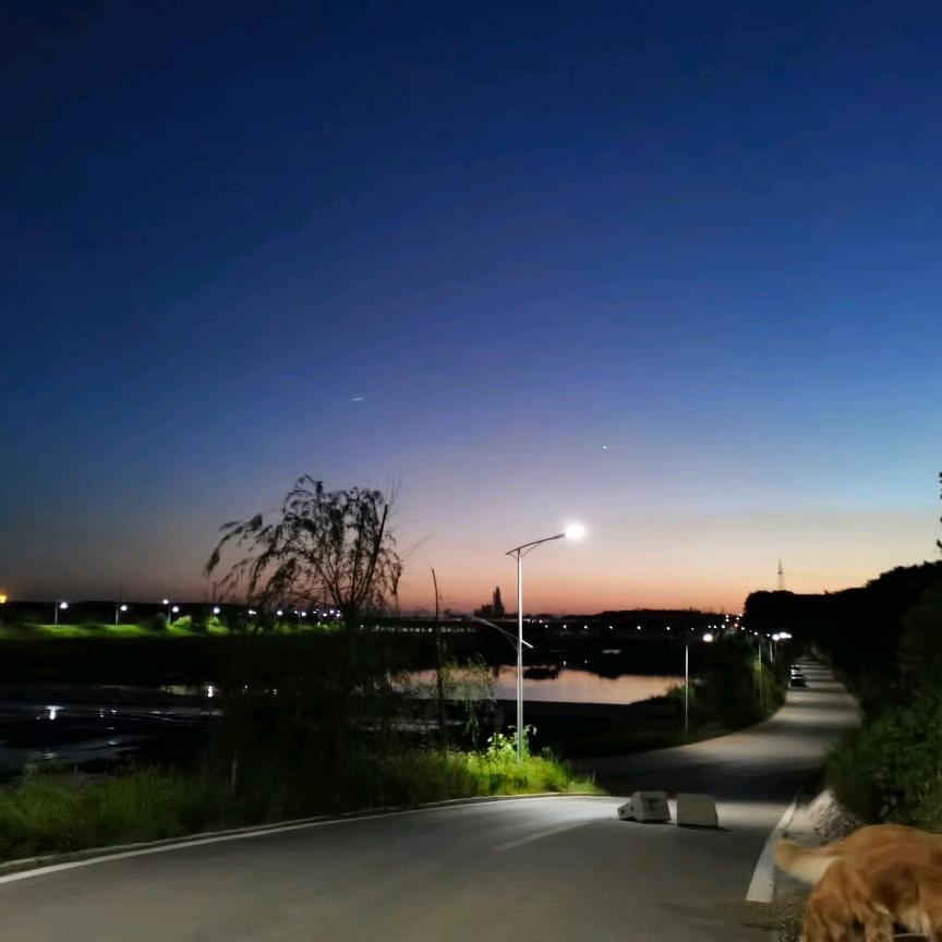 励鹰教育～洺湖校区～杨老师