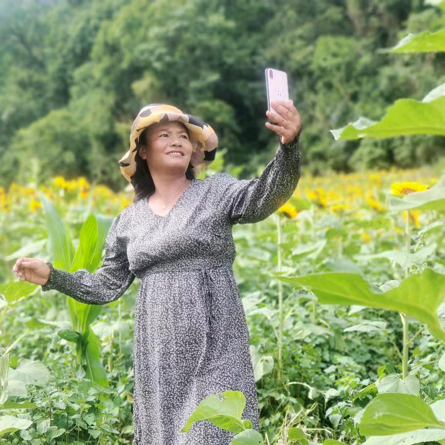 田依依