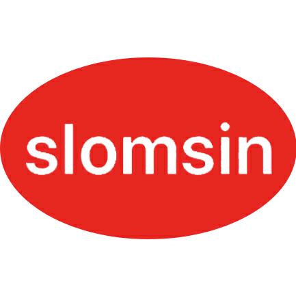 新珑新Slomsin 2