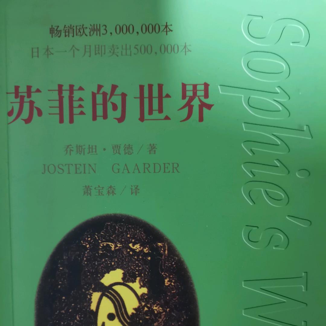 儿童阅读指导师（风鞋爸爸）