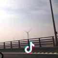 淡淡的。。。