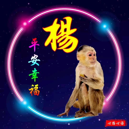 杨一直在努力