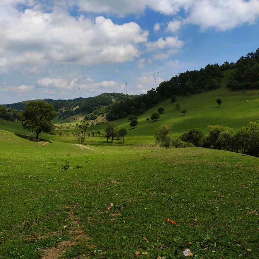 宁静致远（勿连赞,谢谢）