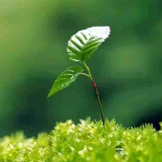相聚一回🍏🍏🍏🍏