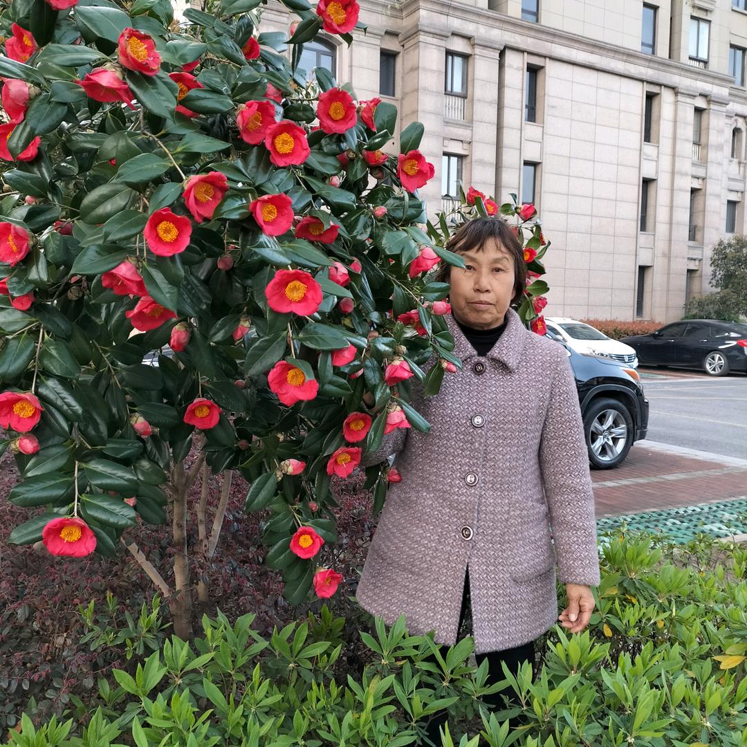 宝贝姐姐