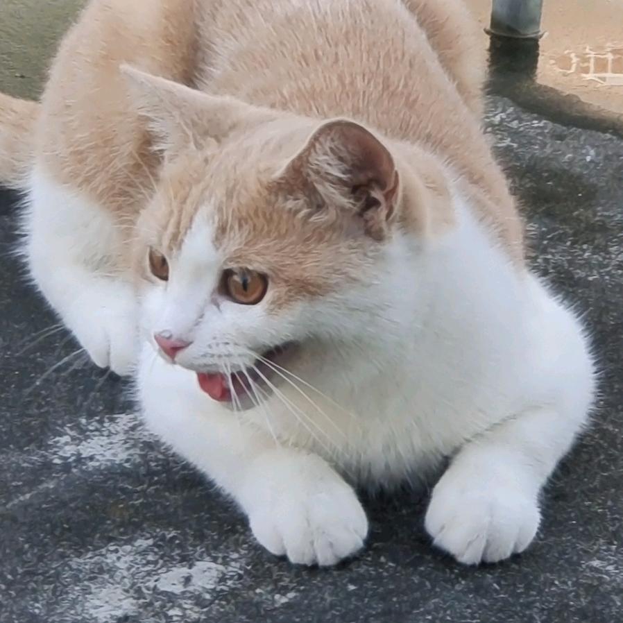 ℡〆weiqiu℡